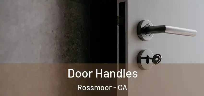  Door Handles Rossmoor - CA
