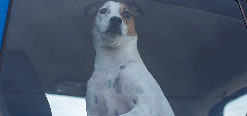 Car Lockout Solutions in Rossmoor, California