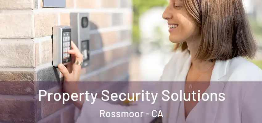  Property Security Solutions Rossmoor - CA