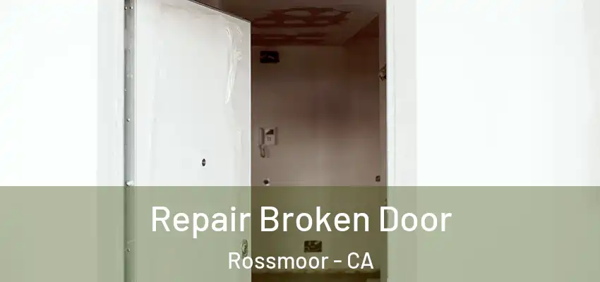  Repair Broken Door Rossmoor - CA